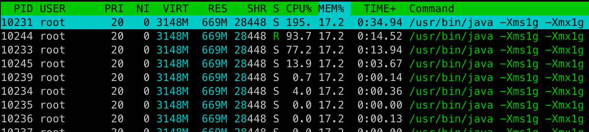 JVM 힙메모리 -Xms1g -Xmx1g 설정 시 가상메모리 측정값